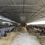 IMG_7824